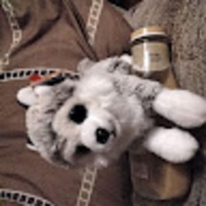 Meet your Posher, Celaneia